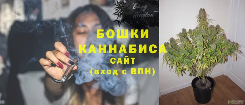 Конопля SATIVA & INDICA  наркотики  Белозерск 